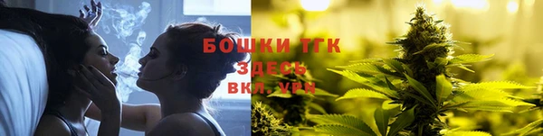 хмурый Мегион