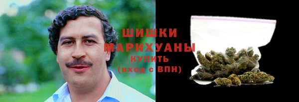ГАЛЛЮЦИНОГЕННЫЕ ГРИБЫ Медвежьегорск