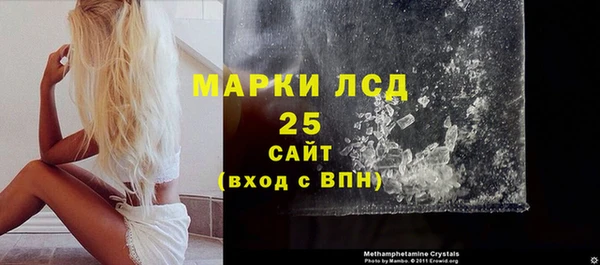 хмурый Мегион