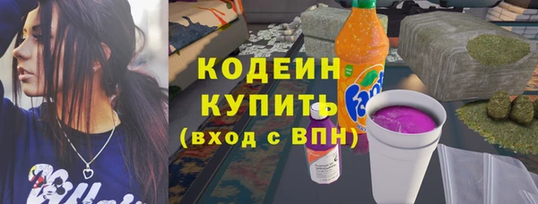 хмурый Мегион