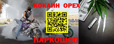 СК Гатчина