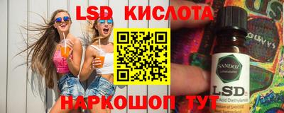 шишки Гагарин