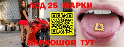 шишки Гай