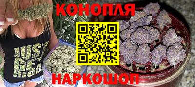 шишки Гай
