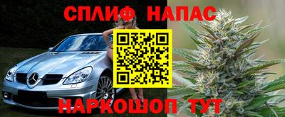 шишки Гагарин