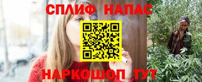 СК Гатчина