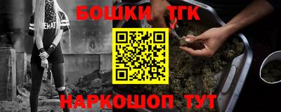 шишки Гай