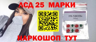 СК Гатчина