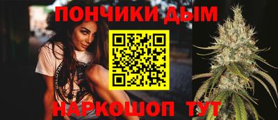 шишки Гагарин