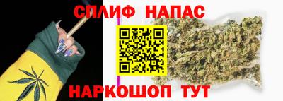 СК Гатчина