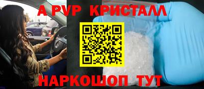 шишки Гай
