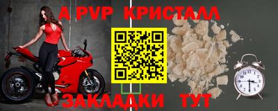 СК Гатчина