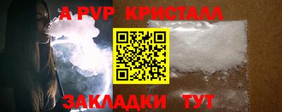 СК Гатчина