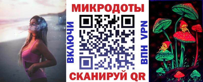 Галлюциногенные грибы Psilocybe  Киров 
