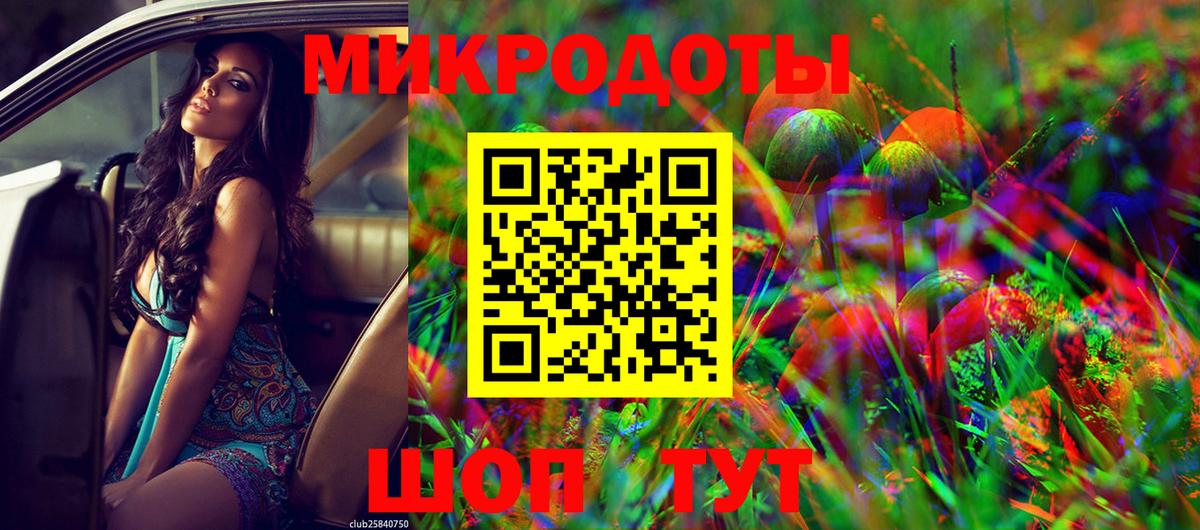 Киров  Псилоцибиновые грибы Psilocybe  Вход с VPN 