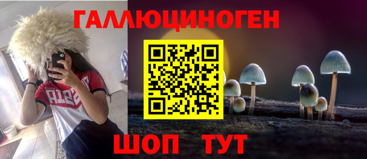 Псилоцибиновые грибы мицелий Киров